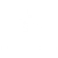 Porsche Repair Alpharetta