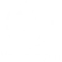 Volkswagen Repair & Service